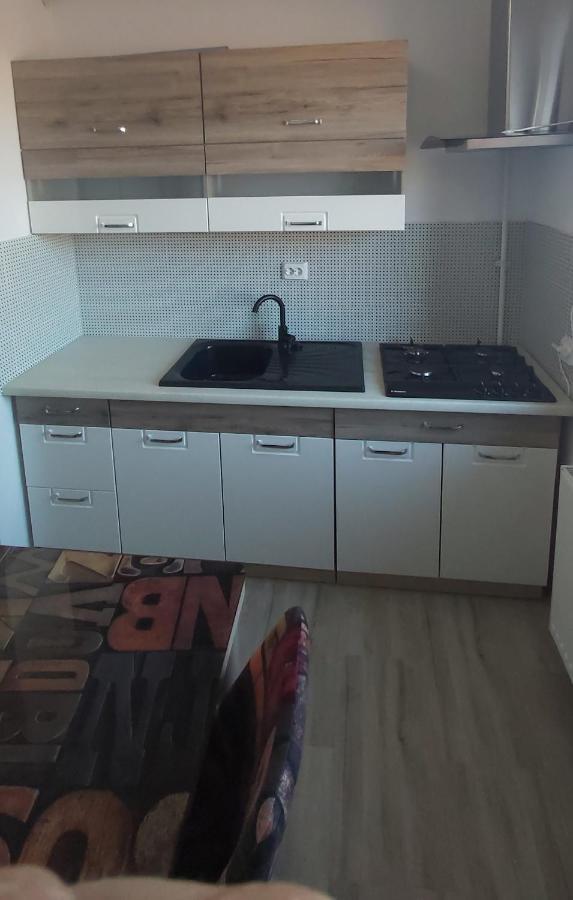 Studio Elisa Lägenhet Caransebeş Exteriör bild