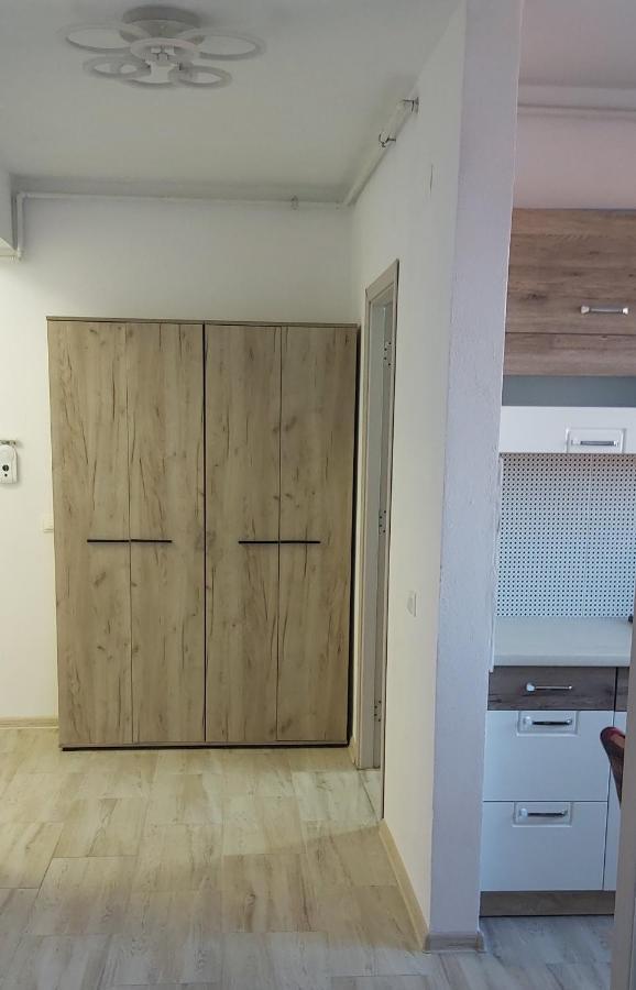 Studio Elisa Lägenhet Caransebeş Exteriör bild