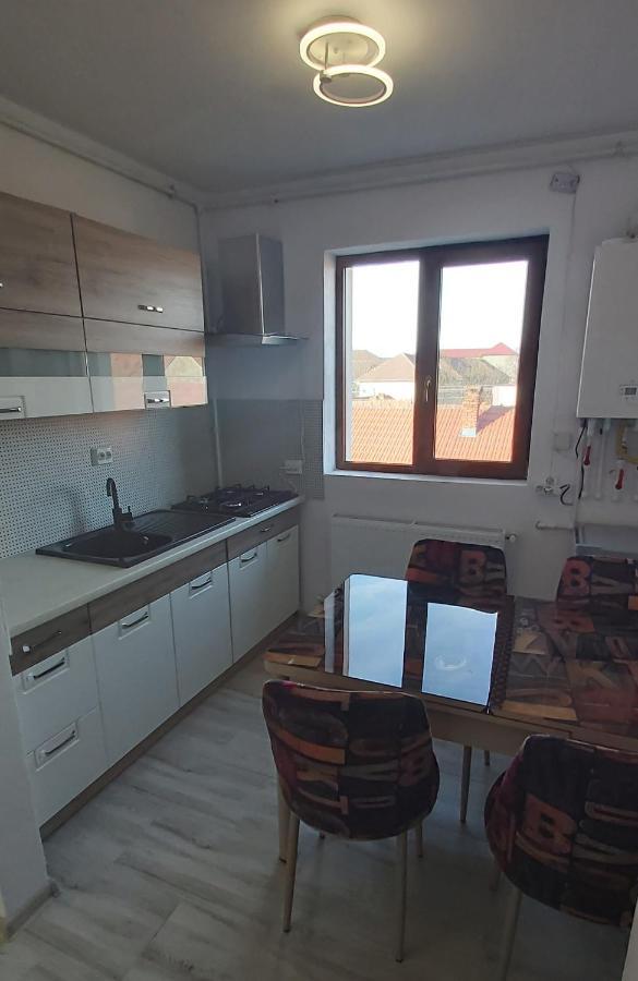 Studio Elisa Lägenhet Caransebeş Exteriör bild